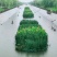 生态浮岛复合纤维湿地水生态综合治理消减污染物包施工包成活