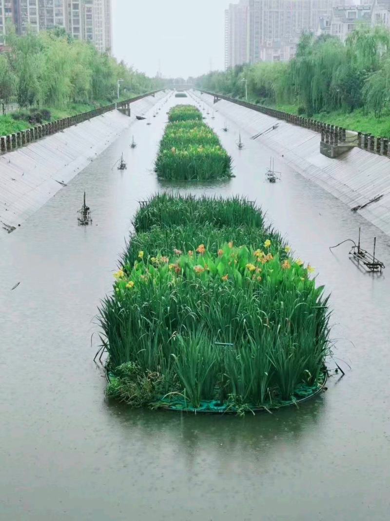 生态浮岛复合纤维湿地水生态综合治理消减污染物包施工包成活