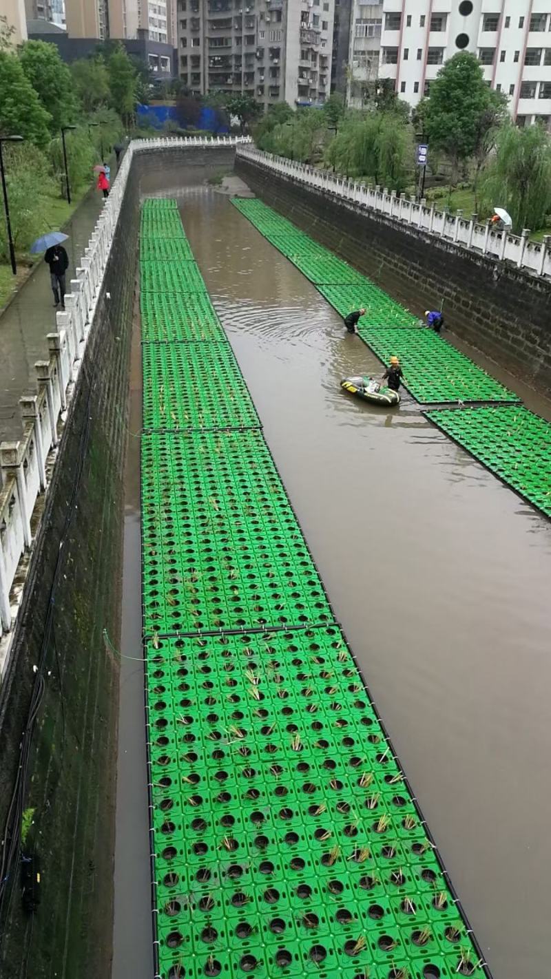 生态浮岛复合纤维湿地水生态综合治理消减污染物包施工包成活