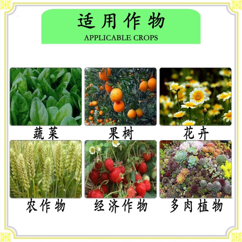 磷酸二氢钾以色列99%磷酸二氢钾植物肥料