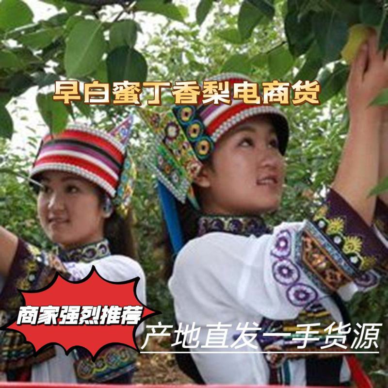 云南红河皇壹甜翡翠梨，市场货、电商货