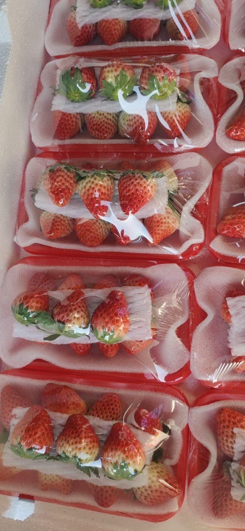 奶油草莓