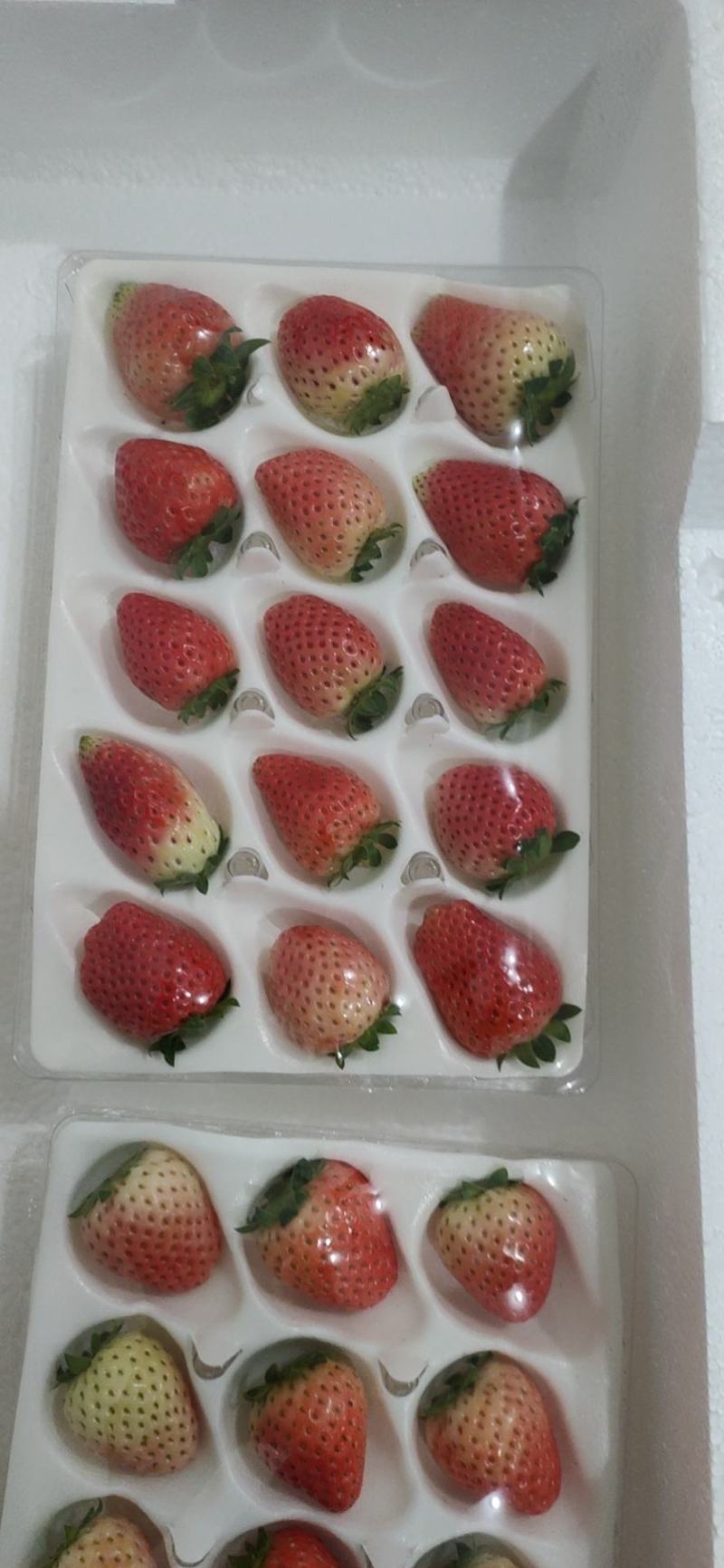 奶油草莓