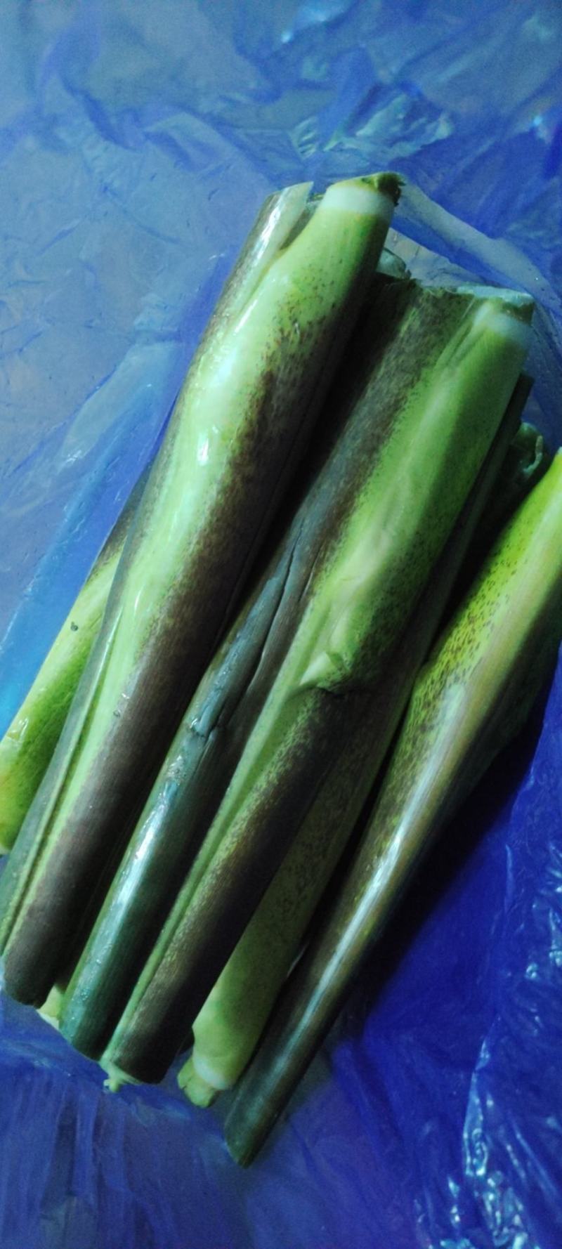 精品北京茭，肉身长而且又白又嫩大量有货欢迎随时联系