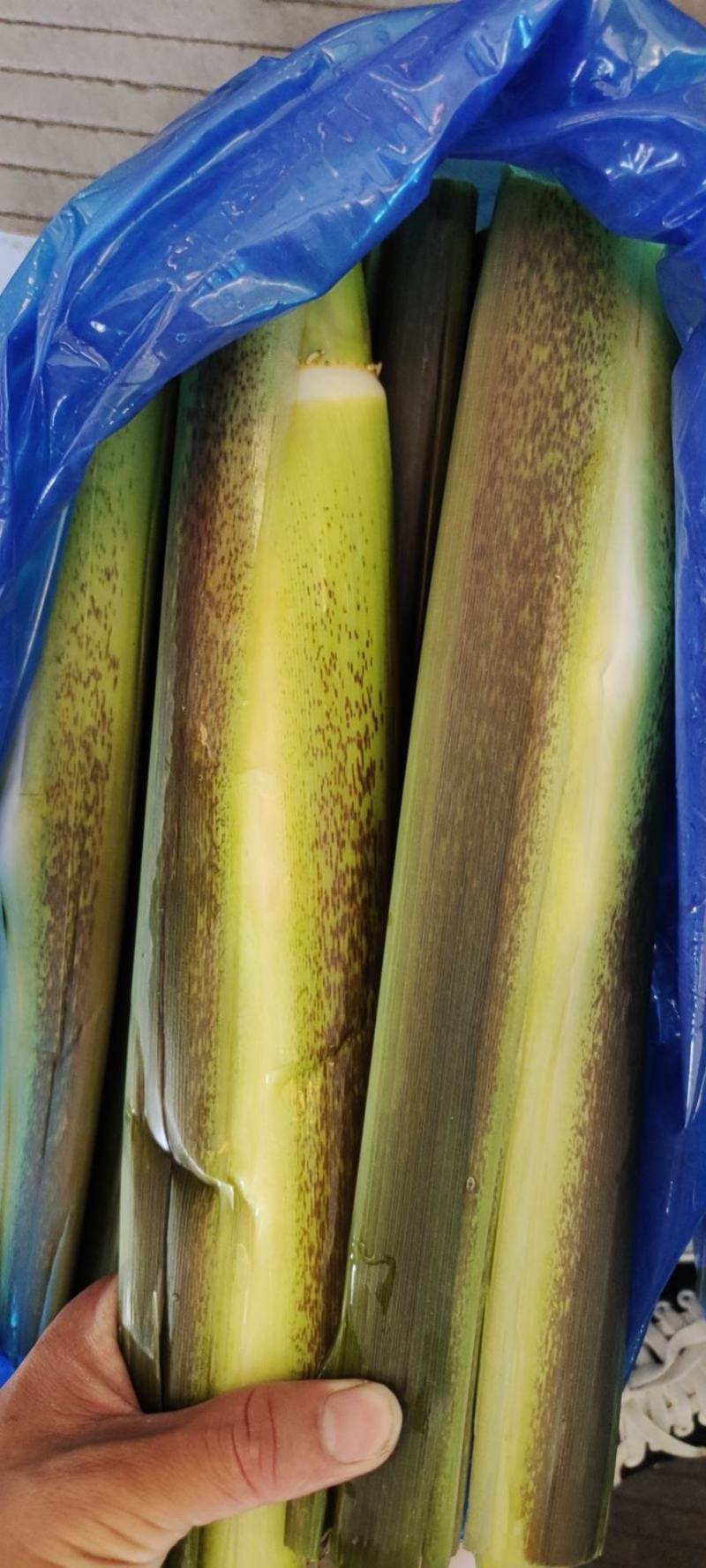 精品北京茭，肉身长而且又白又嫩大量有货欢迎随时联系