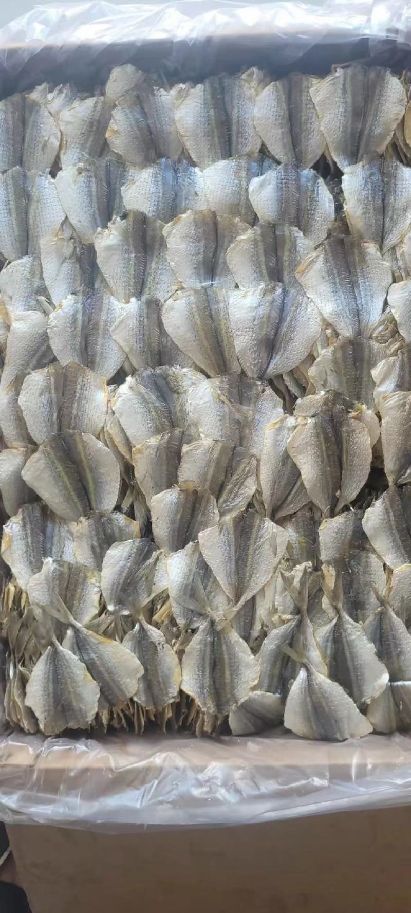 多味鱼，黄线鱼干，甜味加工，适合烧烤即食用，一手货源