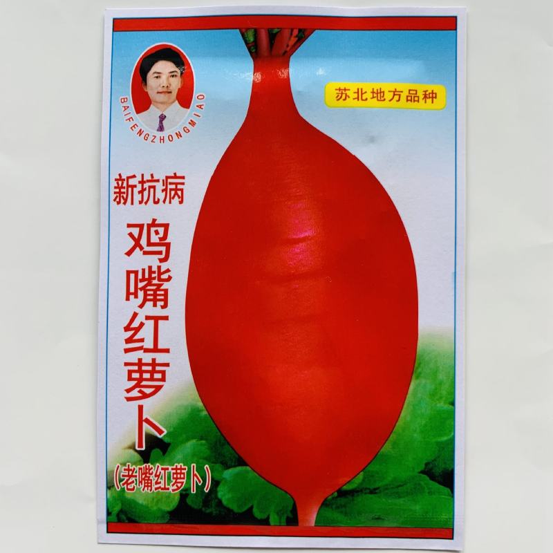 鸡嘴红萝卜种子正宗新抗病红萝卜种籽夏秋季播蔬菜种籽