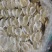甜金线鱼干，一手货源，大厂加工，适合烧烤，即食等用途