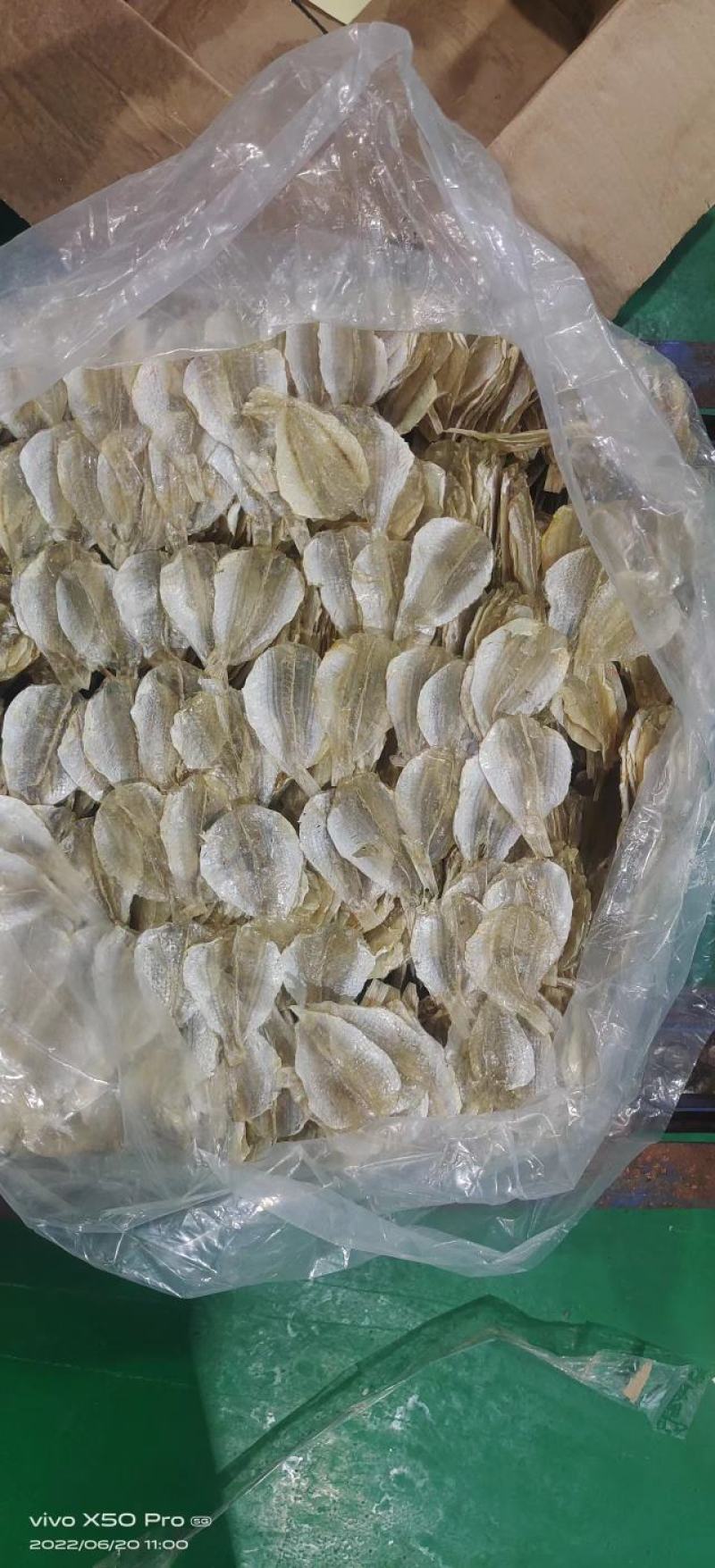 甜金线鱼干，一手货源，大厂加工，适合烧烤，即食等用途