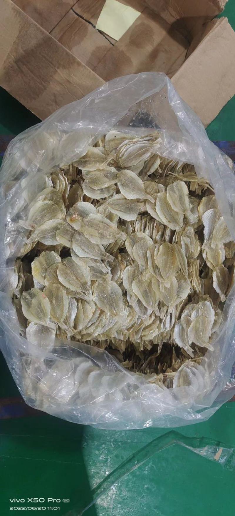 甜金线鱼干，一手货源，大厂加工，适合烧烤，即食等用途