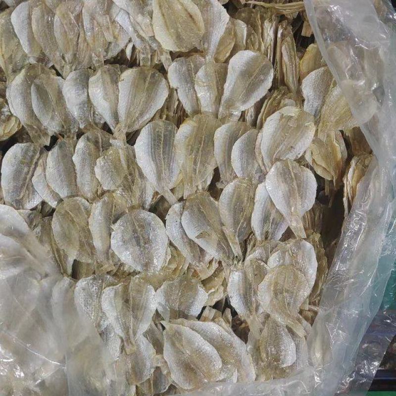 甜金线鱼干，一手货源，大厂加工，适合烧烤，即食等用途