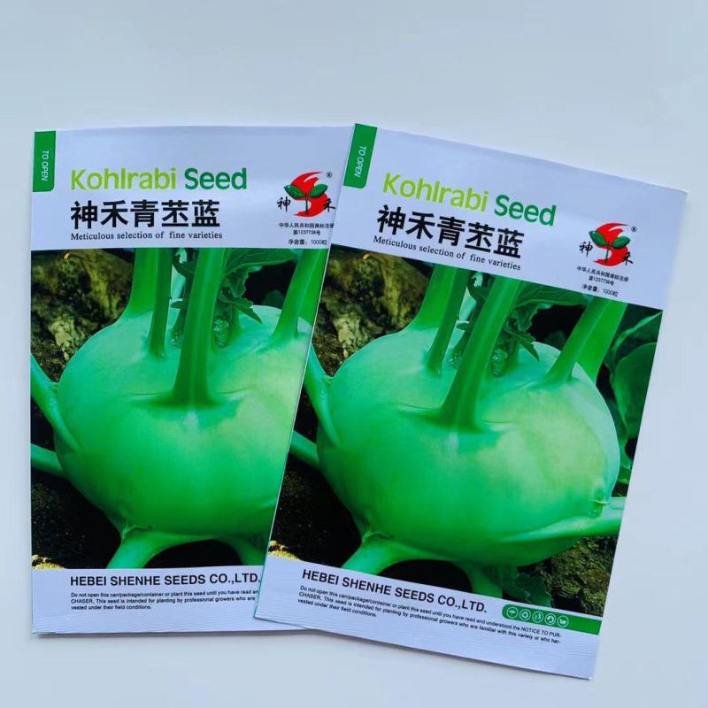 正宗青苤蓝种子水果绿苤兰球茎甘蓝种子薄皮新品超大易种四季