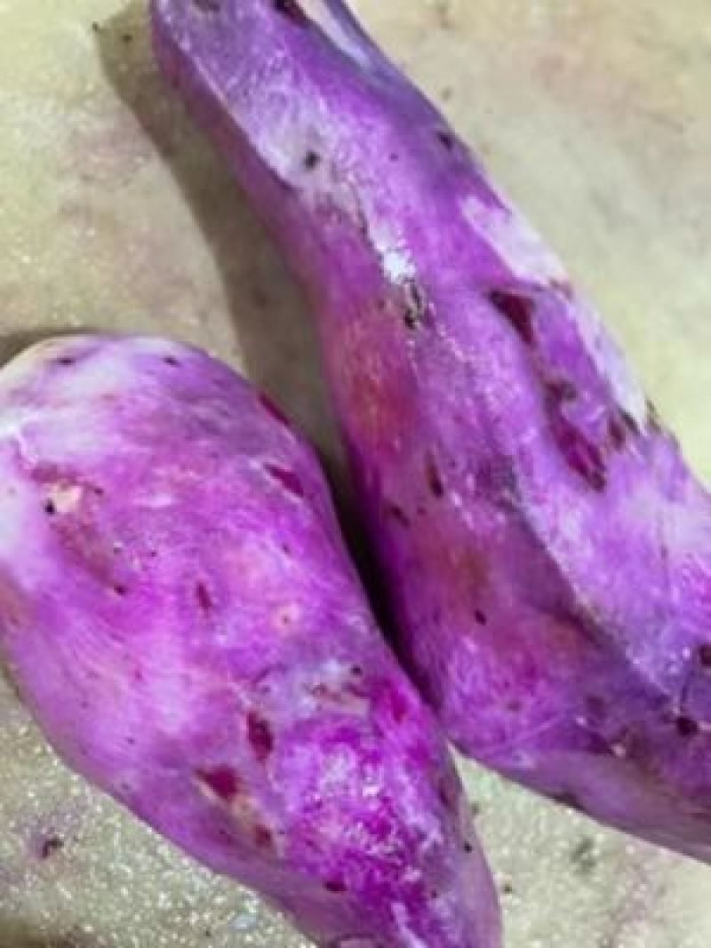 江西安远紫山药紫薯，脚板薯，现挖现发货
