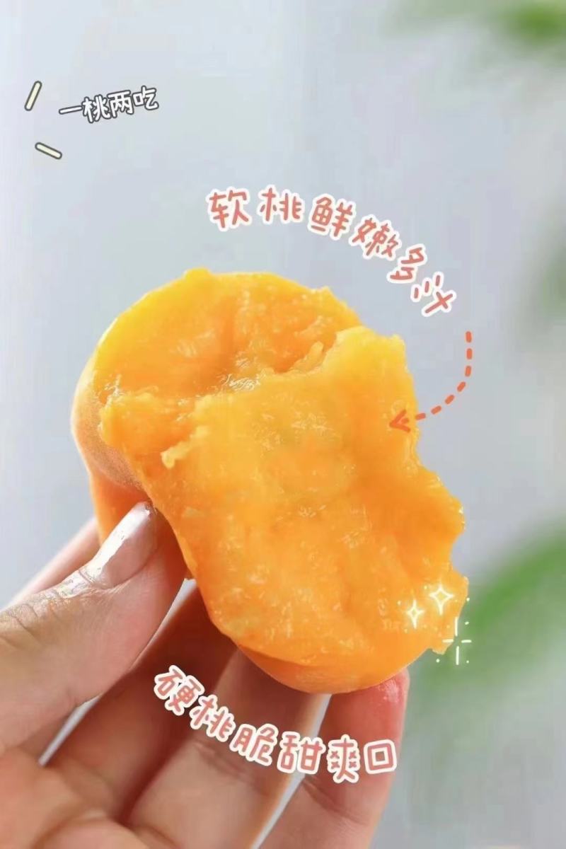 平谷蟠桃