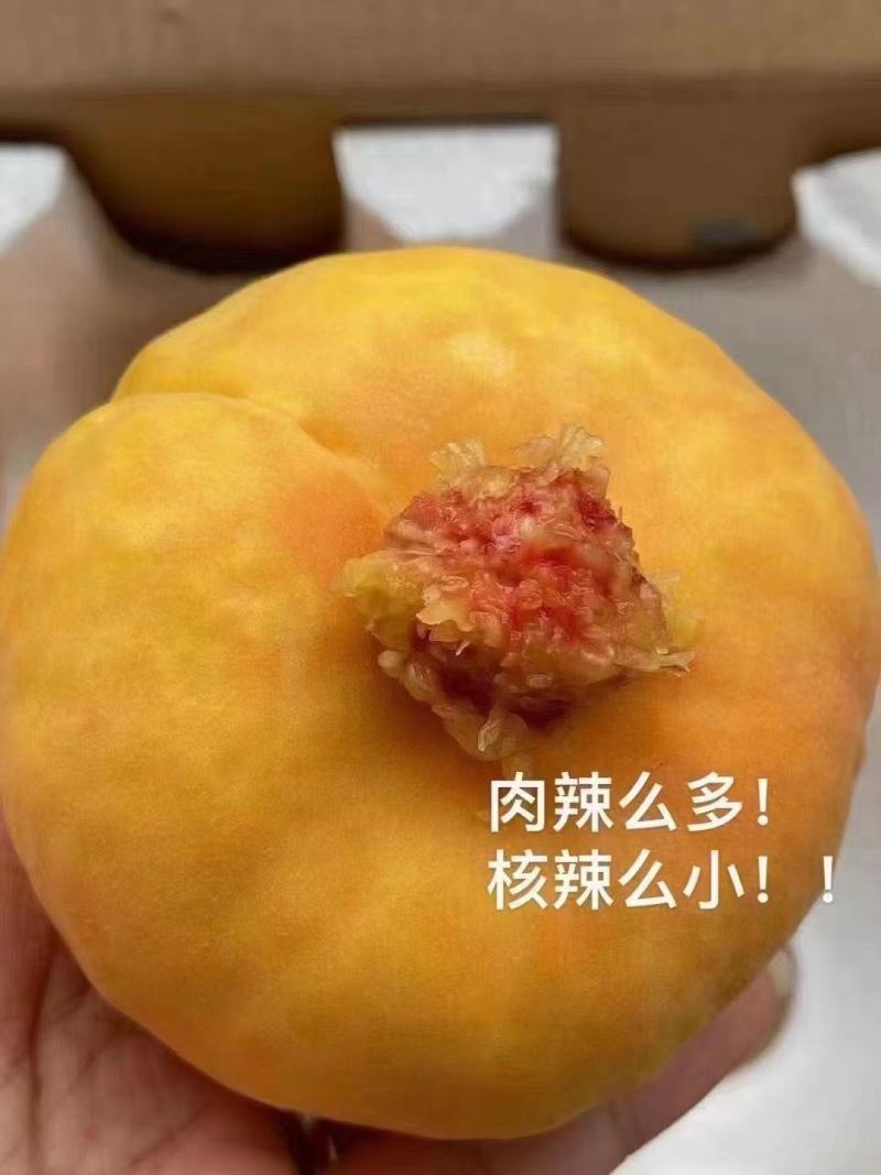 平谷蟠桃