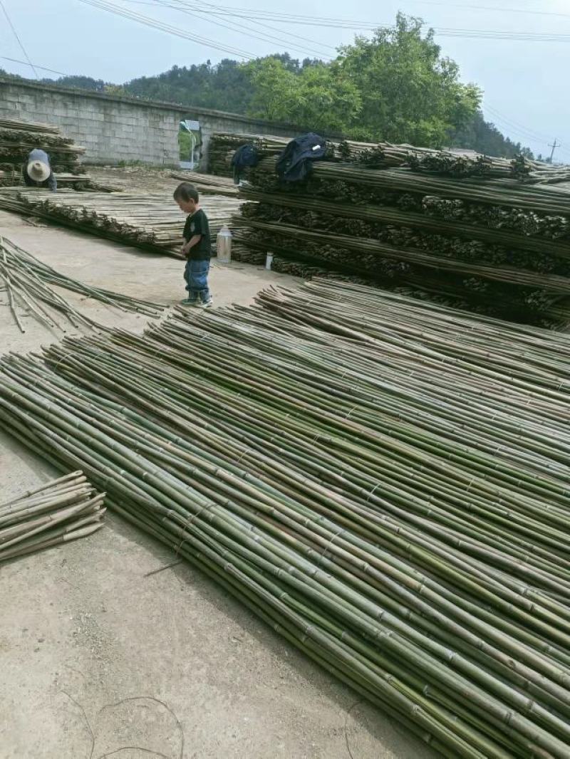 养床！玉米竹排！大楠竹！元竹菜价竹