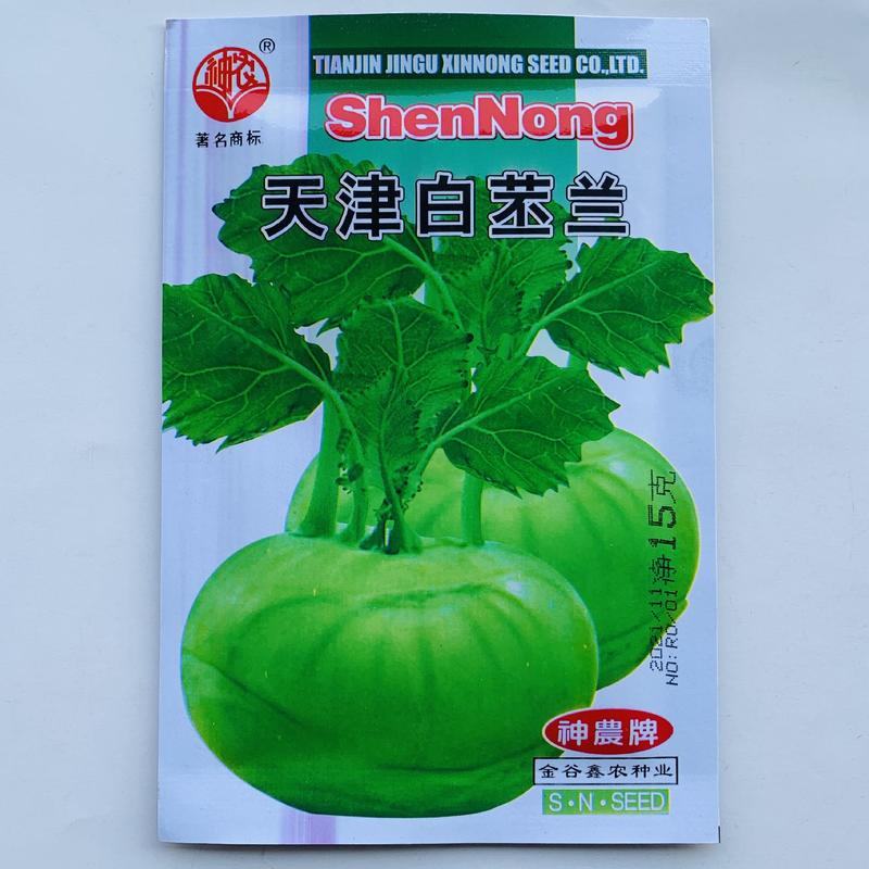 天津白苤蓝种子高产早熟扁圆型大头菜蔬莱菜籽莱青芥兰头芥蓝