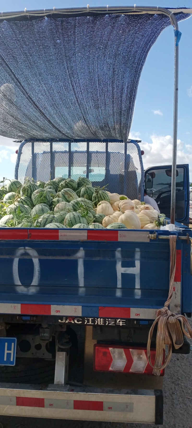 东方蜜西瓜夭走车。价格便宜的