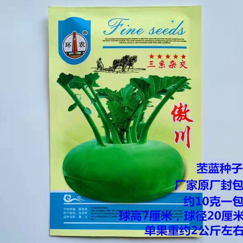 傲川苤蓝种子春秋青苤蓝种籽水果绿苤兰球茎蓝四季盆栽庭院
