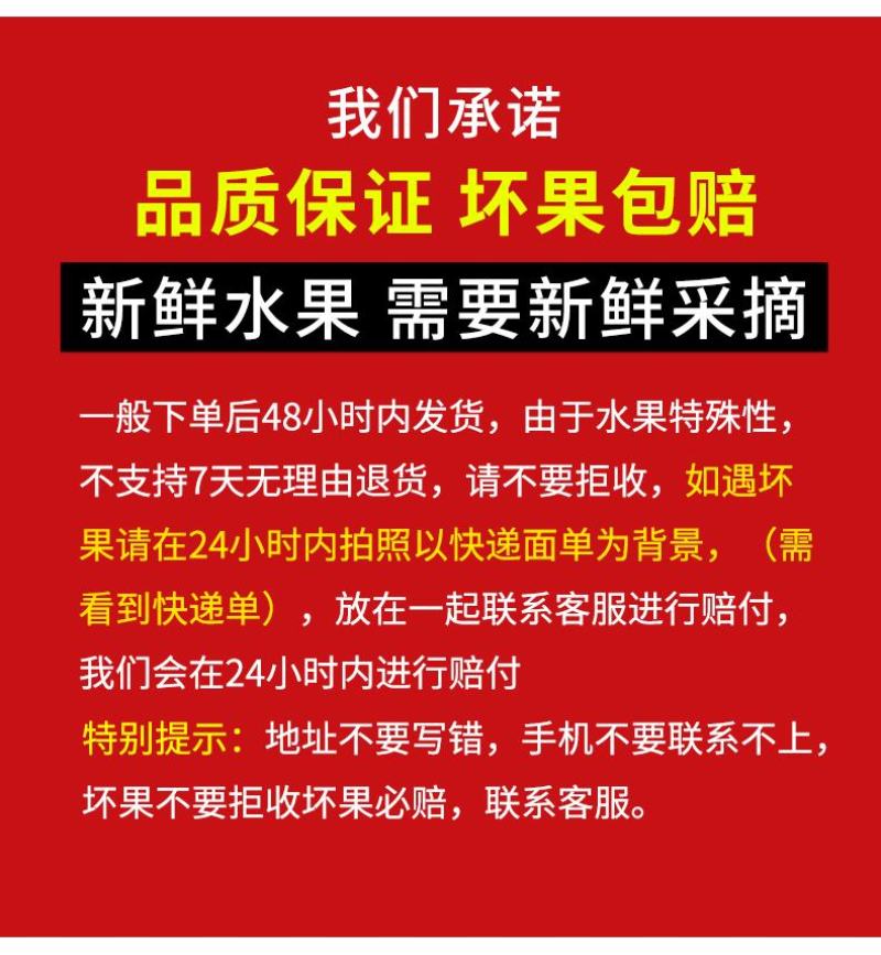 福建漳州平和红心红肉蜜柚基地代办一件代发