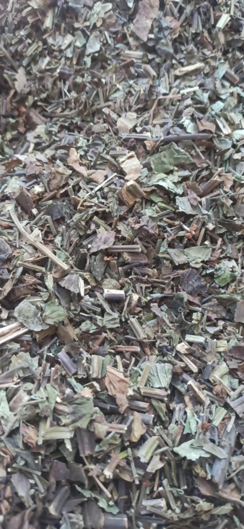 石见穿中药材批发石见穿质量保证量大从优