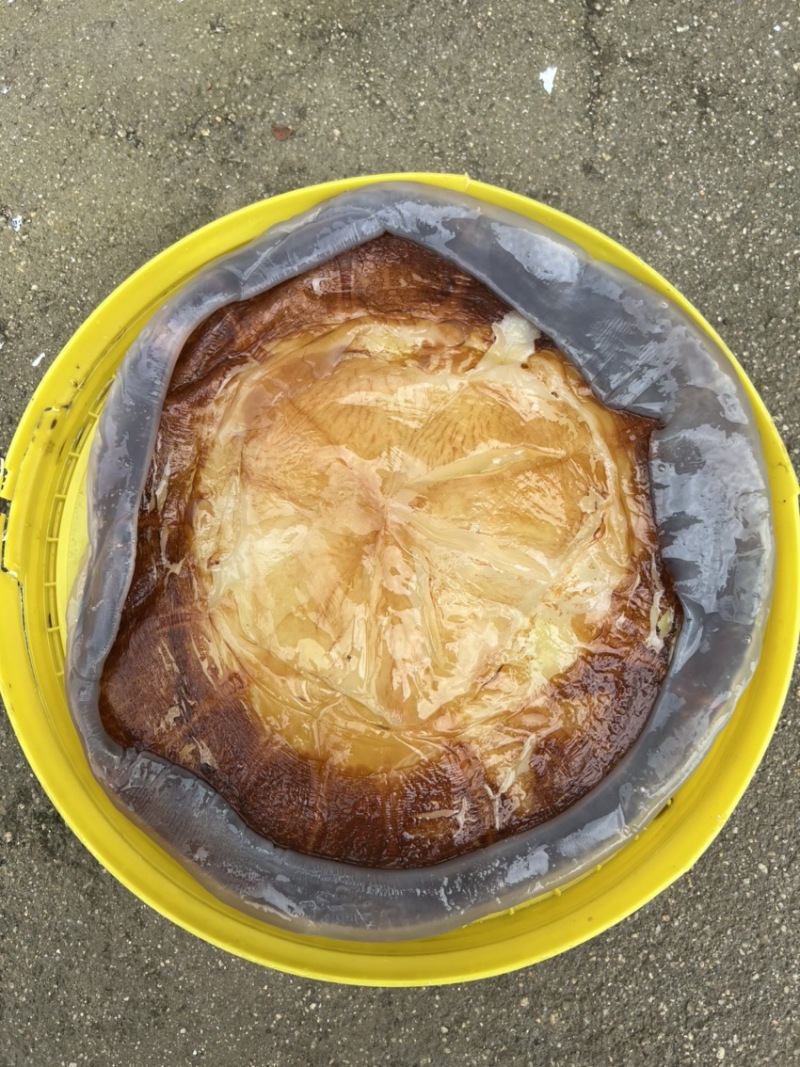 太阳红红蛰皮海蜇社区团购，微商电商酒店食材