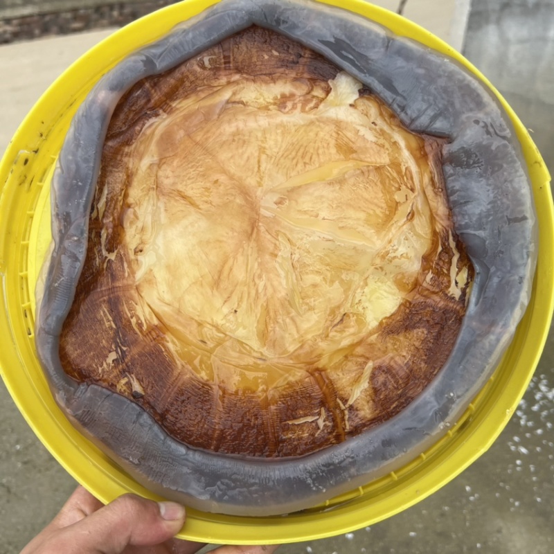 太阳红红蛰皮海蜇社区团购，微商电商酒店食材