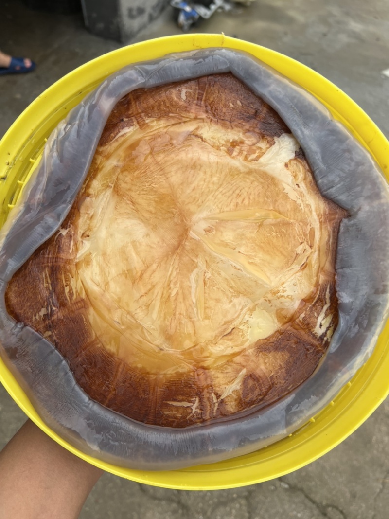 太阳红红蛰皮海蜇社区团购，微商电商酒店食材