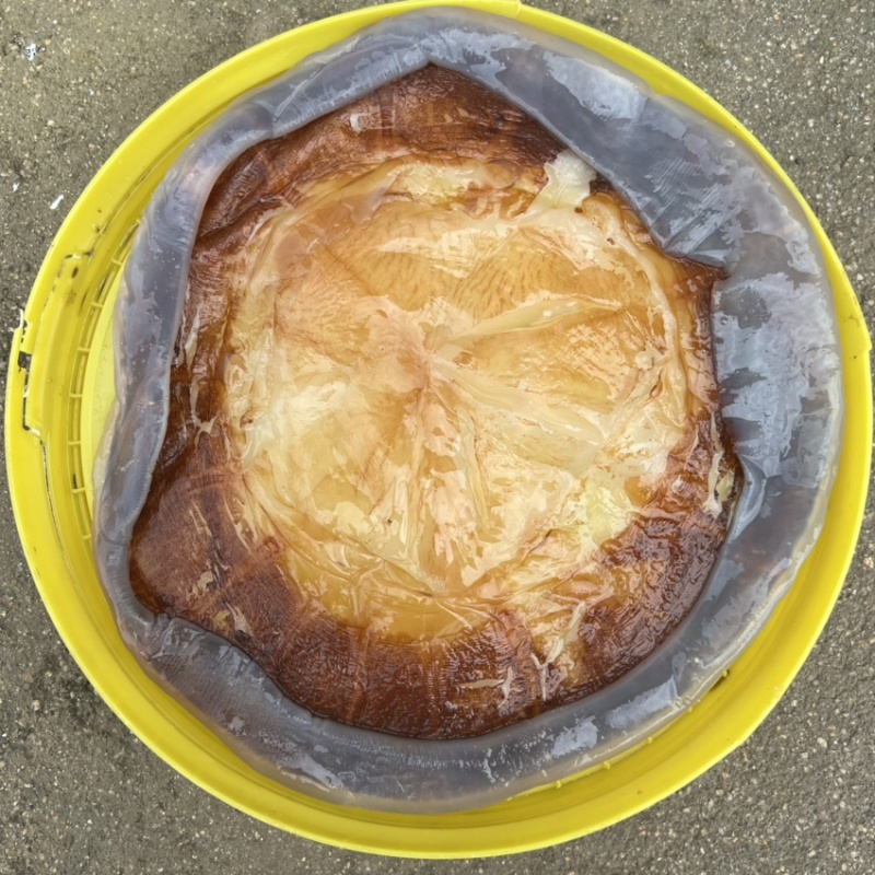 太阳红红蛰皮海蜇社区团购，微商电商酒店食材