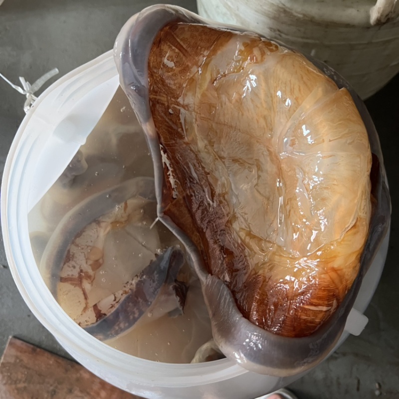 太阳红红蛰皮海蜇社区团购，微商电商酒店食材