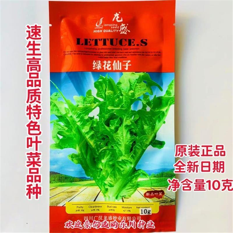 龙盛红花仙子绿话仙子特色菜种子口感好速生高产耐热四季菜籽