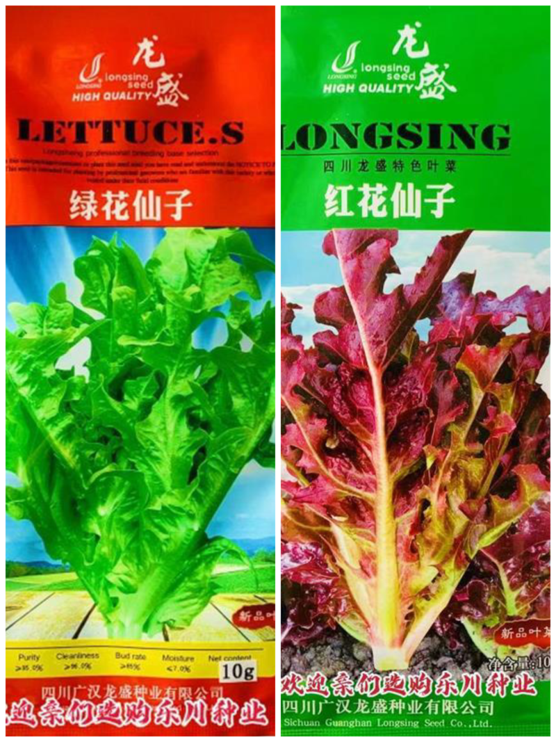 龙盛红花仙子绿话仙子特色菜种子口感好速生高产耐热四季菜籽