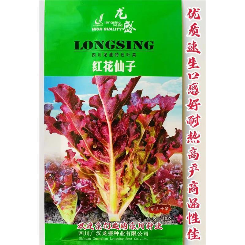 龙盛红花仙子绿话仙子特色菜种子口感好速生高产耐热四季菜籽