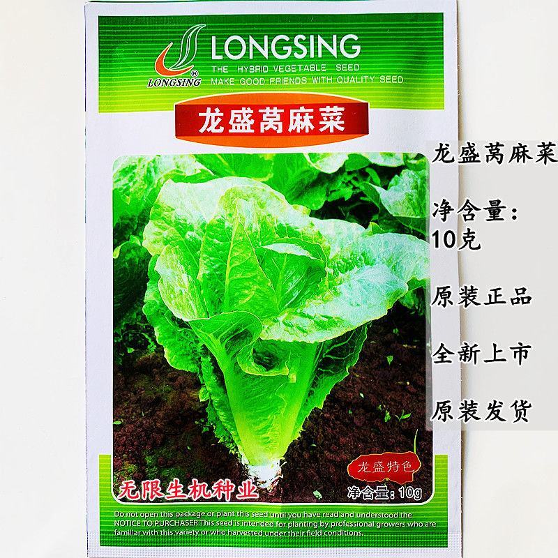 龙盛莴麻菜种子窝鸡菜种籽叶用莴苣曲麻菜种生菜阳台四季蔬菜