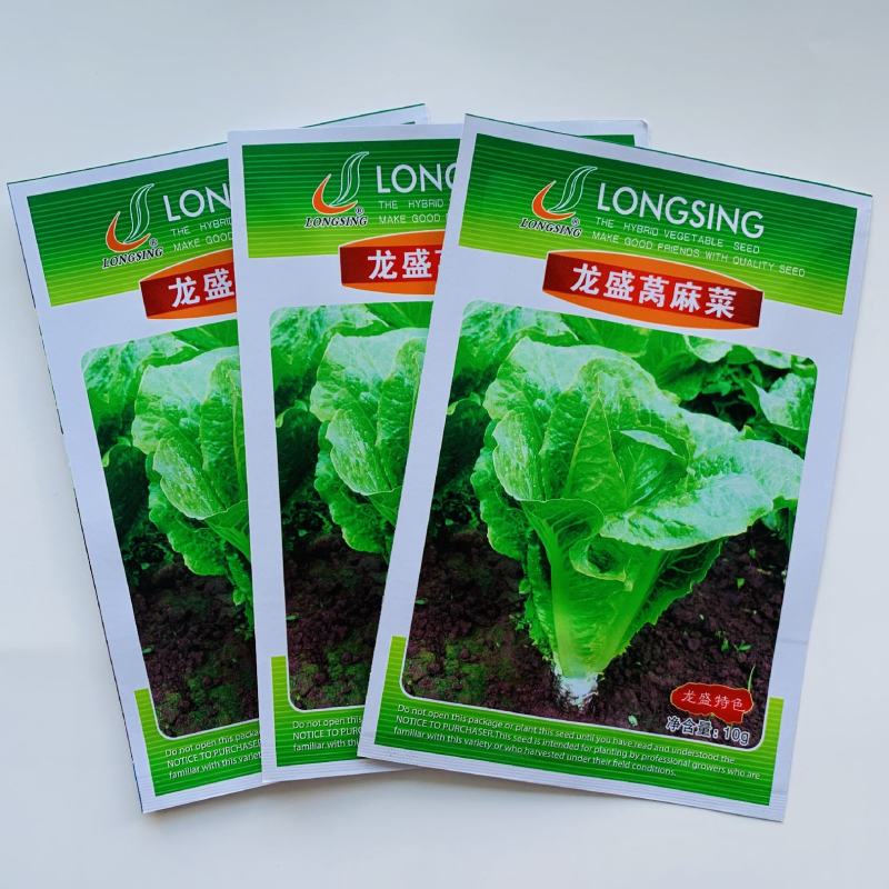 龙盛莴麻菜种子窝鸡菜种籽叶用莴苣曲麻菜种生菜阳台四季蔬菜