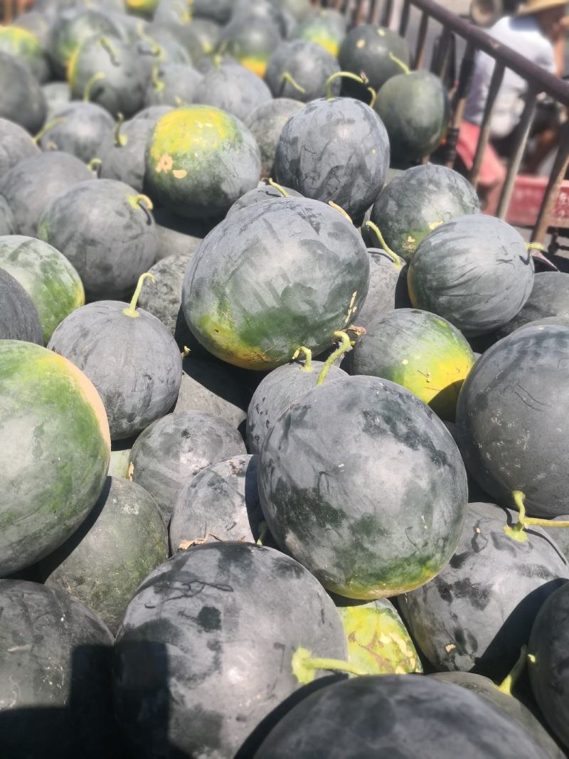 大量供应黑皮无籽西瓜