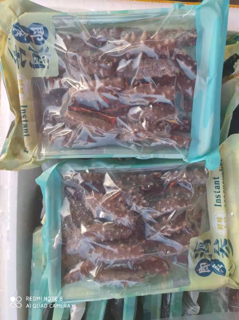 即食海参刺参