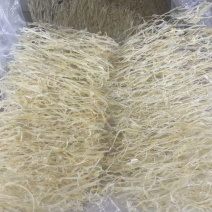 鱼翅