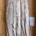 300/500带鱼B带破肚带鱼便宜带鱼1斤带鱼