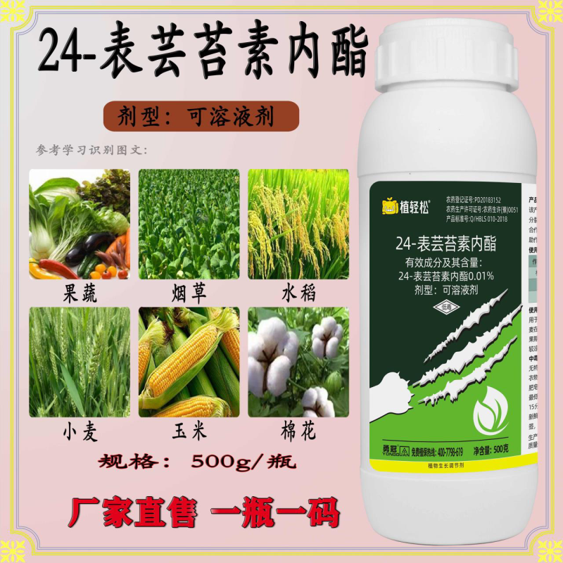 植轻松24表芸苔素内脂柑橘树黄瓜小麦植物生长调节剂