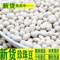 白芸豆现货批发白芸豆豆沙馅食品料五谷杂粮袋装50斤