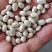 白芸豆现货批发白芸豆豆沙馅食品料五谷杂粮袋装50斤