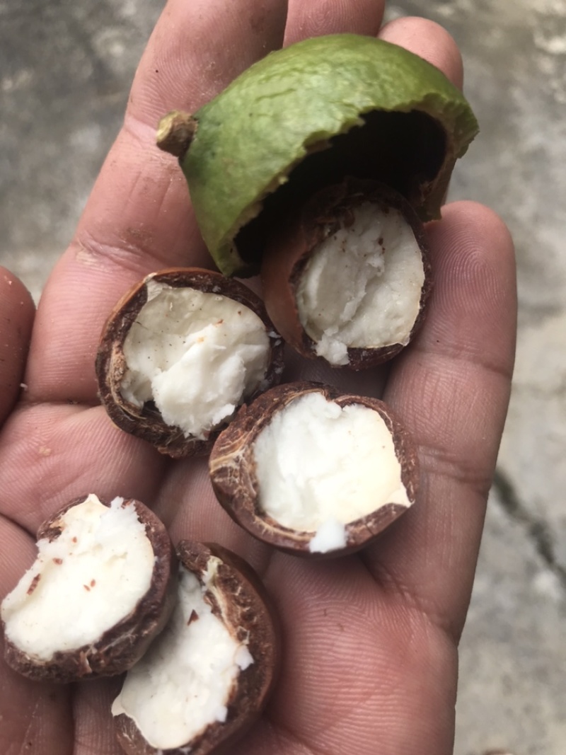 怕上火，就来点奥州坚果，又营养健康又美味