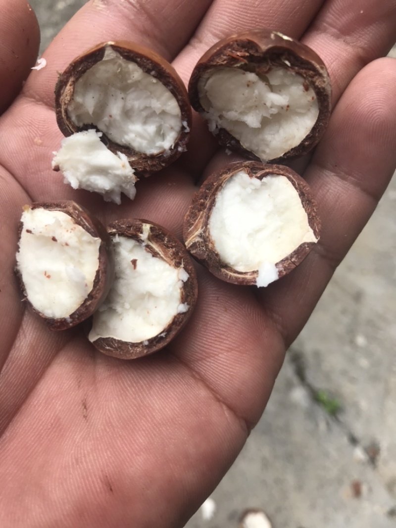 怕上火，就来点奥州坚果，又营养健康又美味