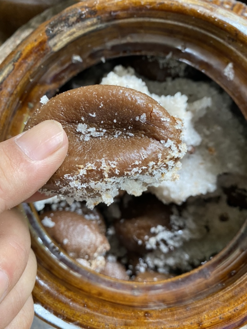 广东柠檬基地直供咸柠檬