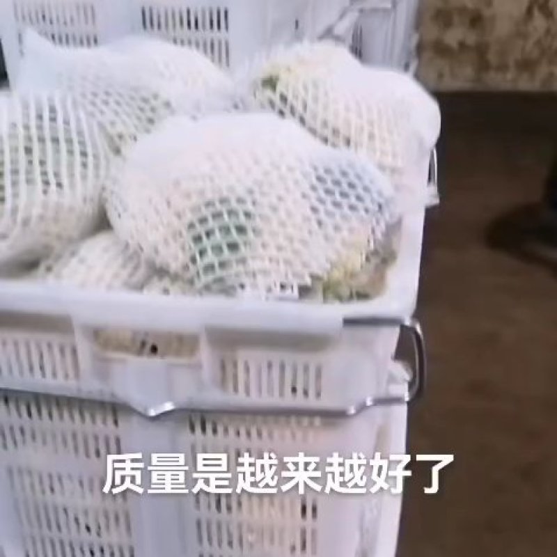 菜花
