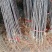澳洲青苹果苗脆甜好吃南北方种植抗寒好养易活嫁接特大青苹果