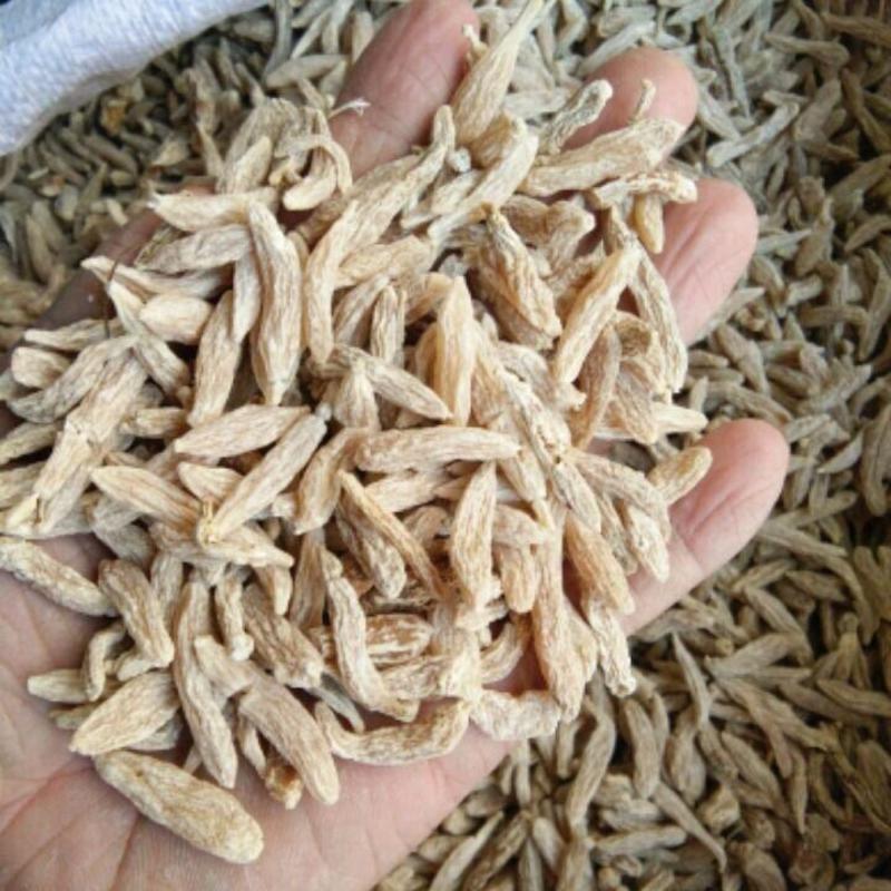 麦冬无硫川麦冬寸冬散装麦门冬批发现货量大从优