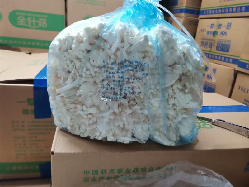 海鲜菇
