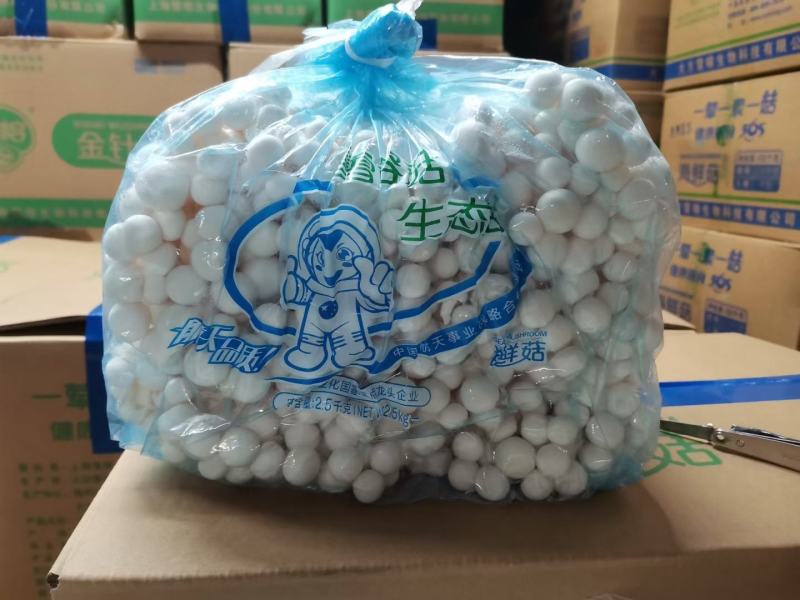 海鲜菇